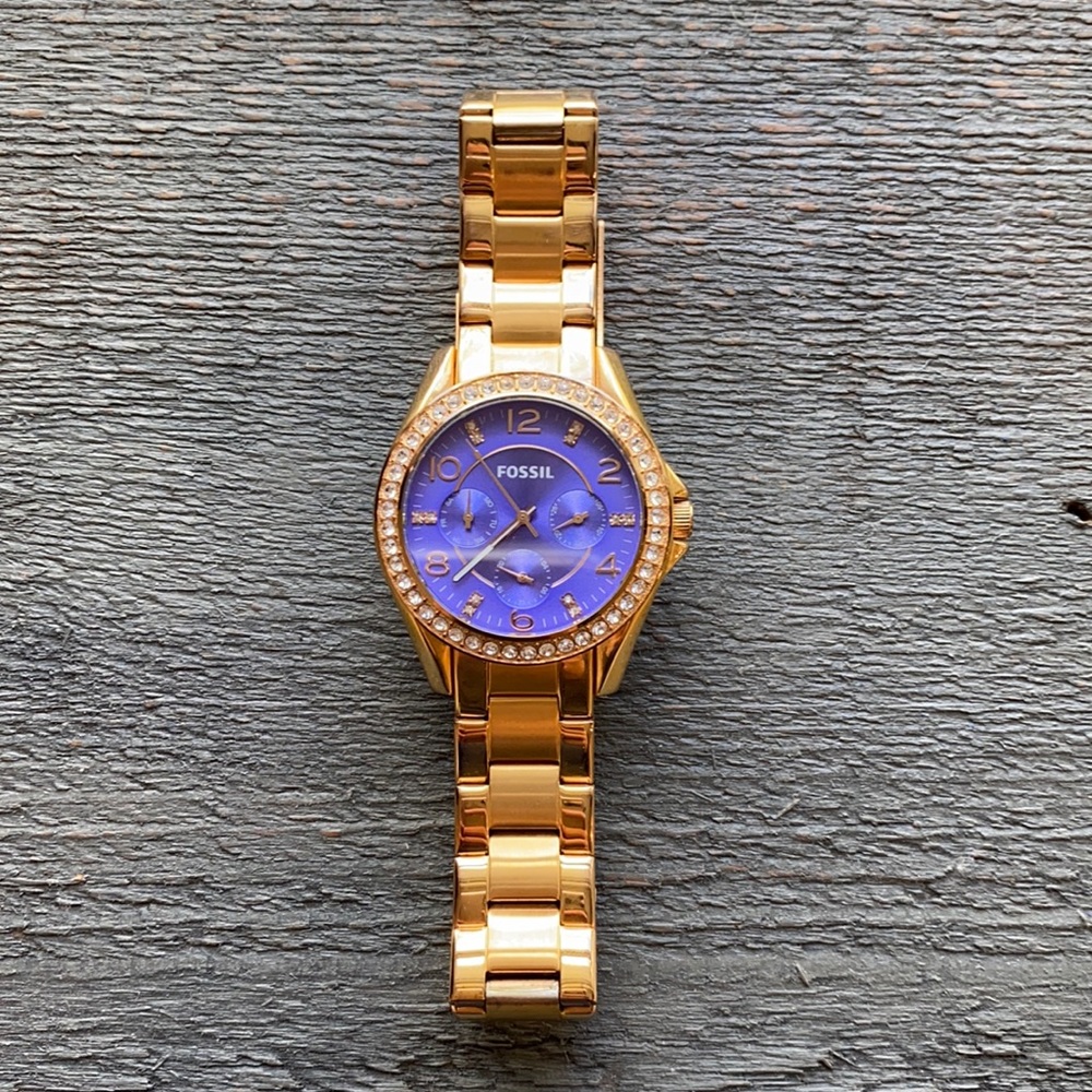 Fossil Watch!